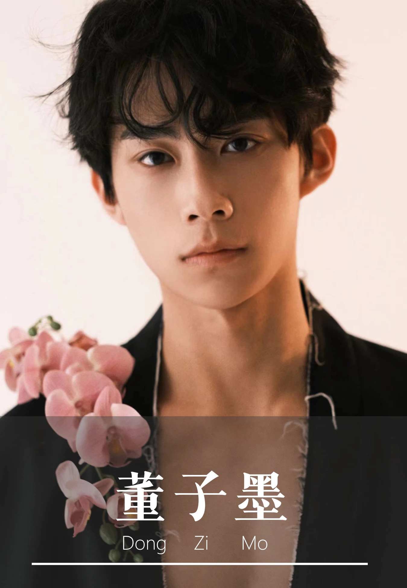 演员简介第一页预览