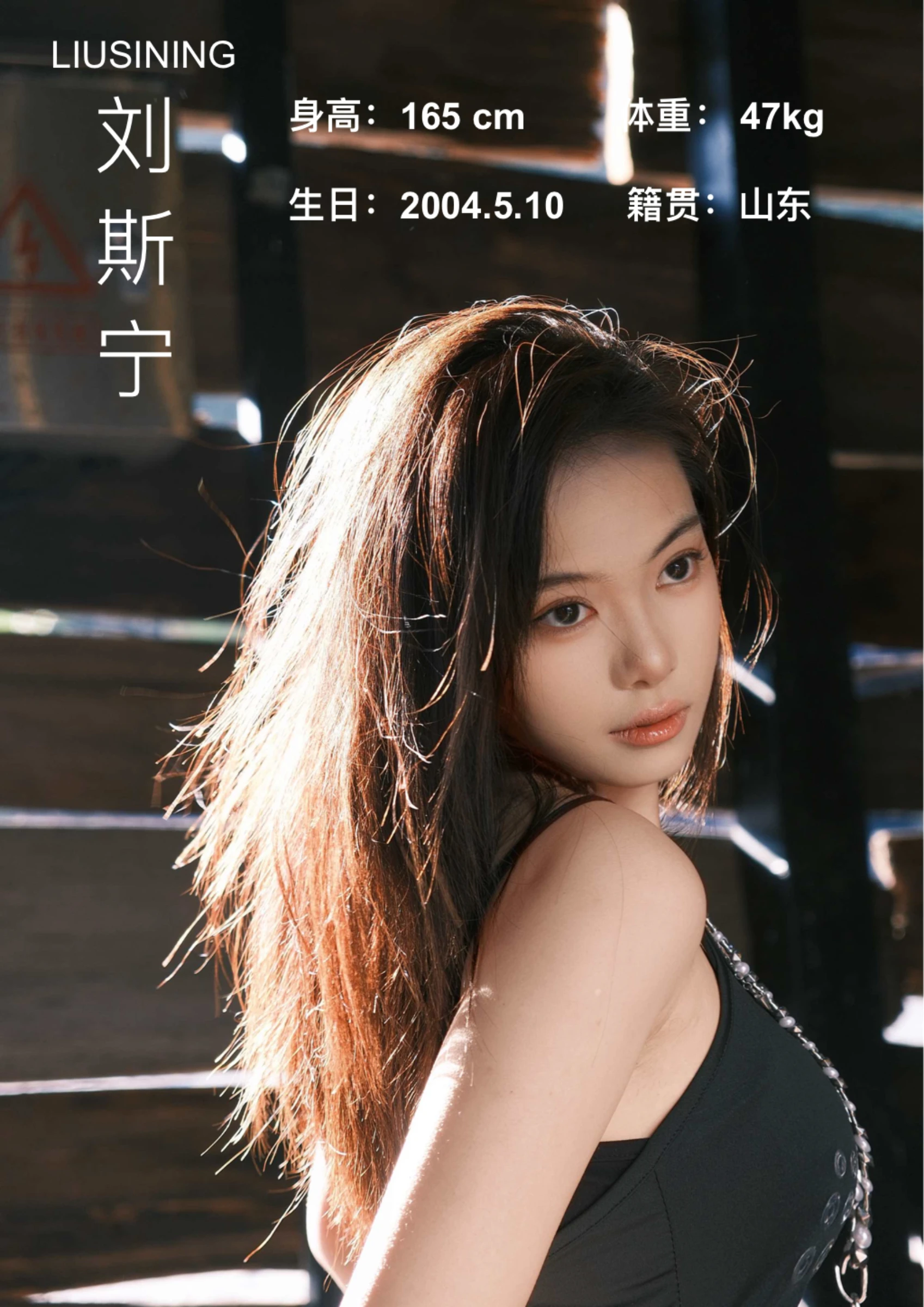 演员简介第一页预览