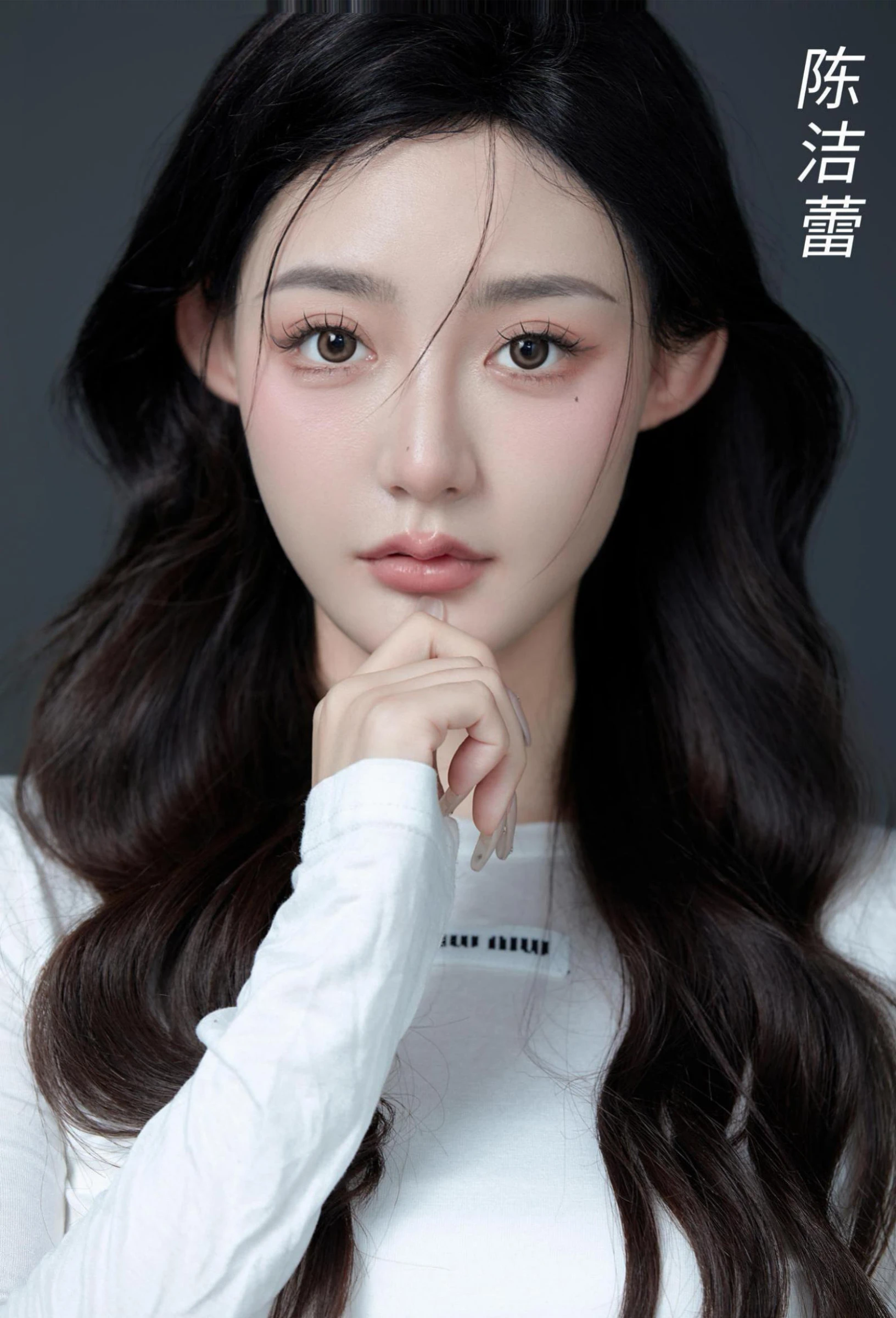 演员简介第一页预览
